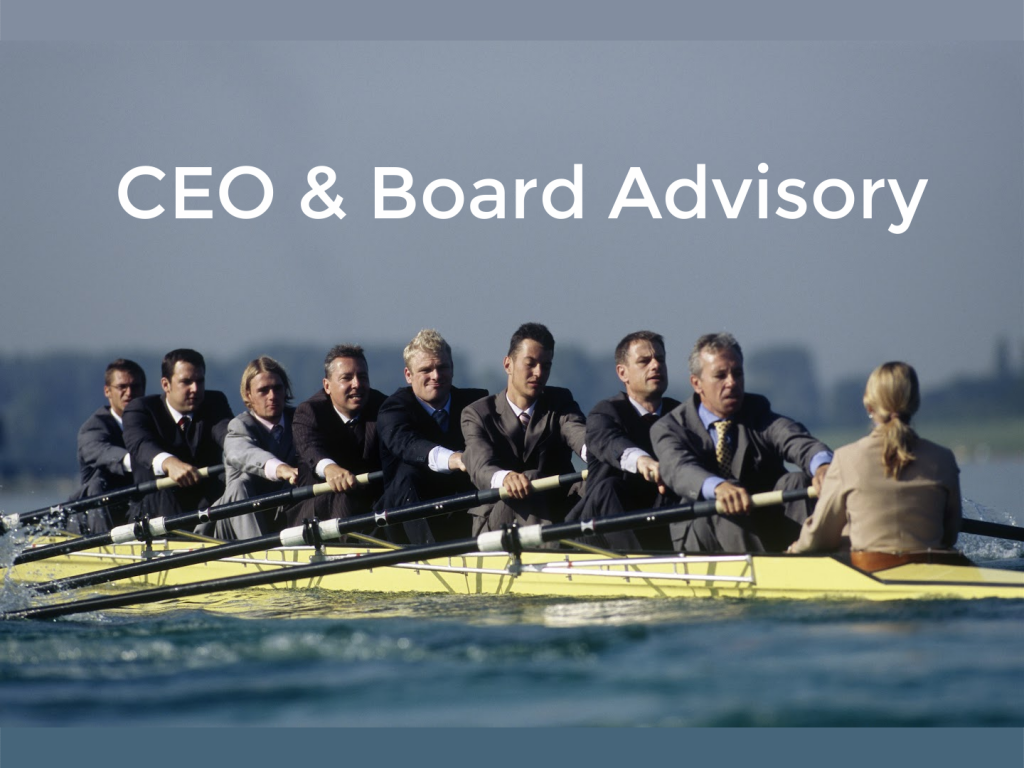 CEO-and-Board-Advisory-Syl-DiDiego-website