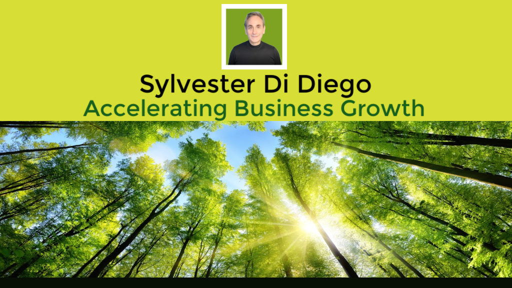 Schedule a Consultation with Syl Di Diego